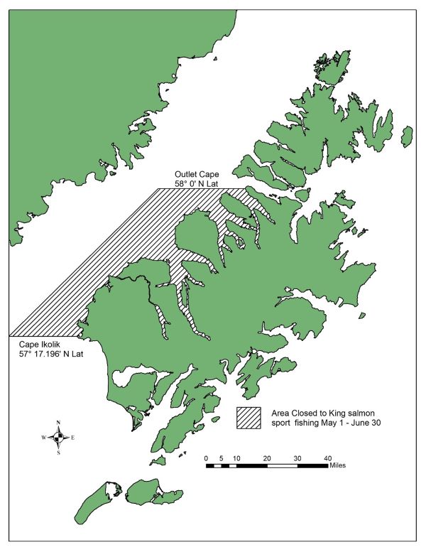 Westside Kodiak Salt Waters Closed to King Salmon Fishing